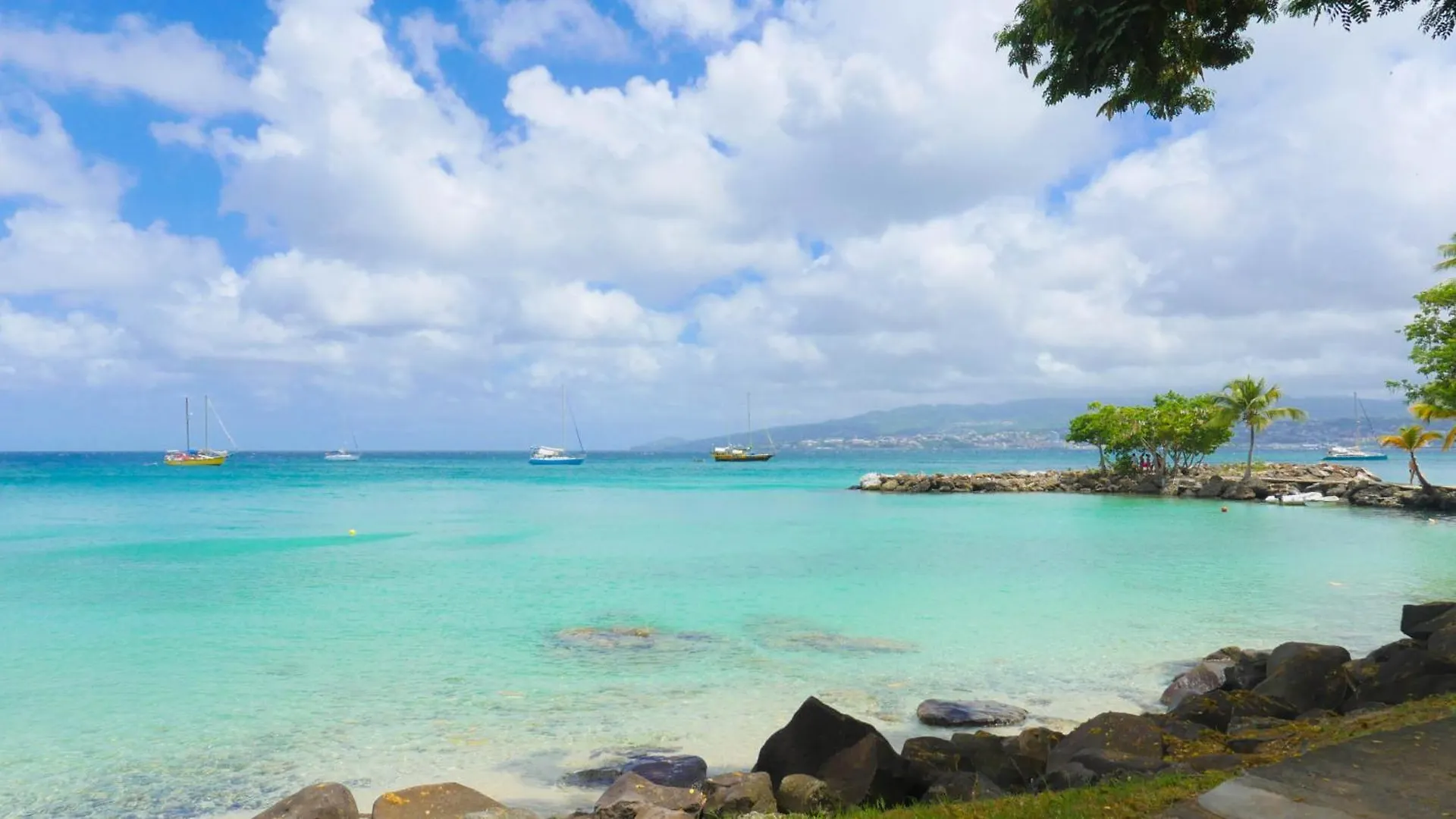 Geko, 3 Min A Pied Des Plages Les Trois-Ilets